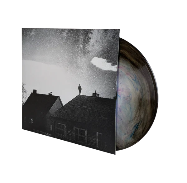 WE.OWN.THE.SKY - In Your Absence (Fading Light Edition Vinyl)