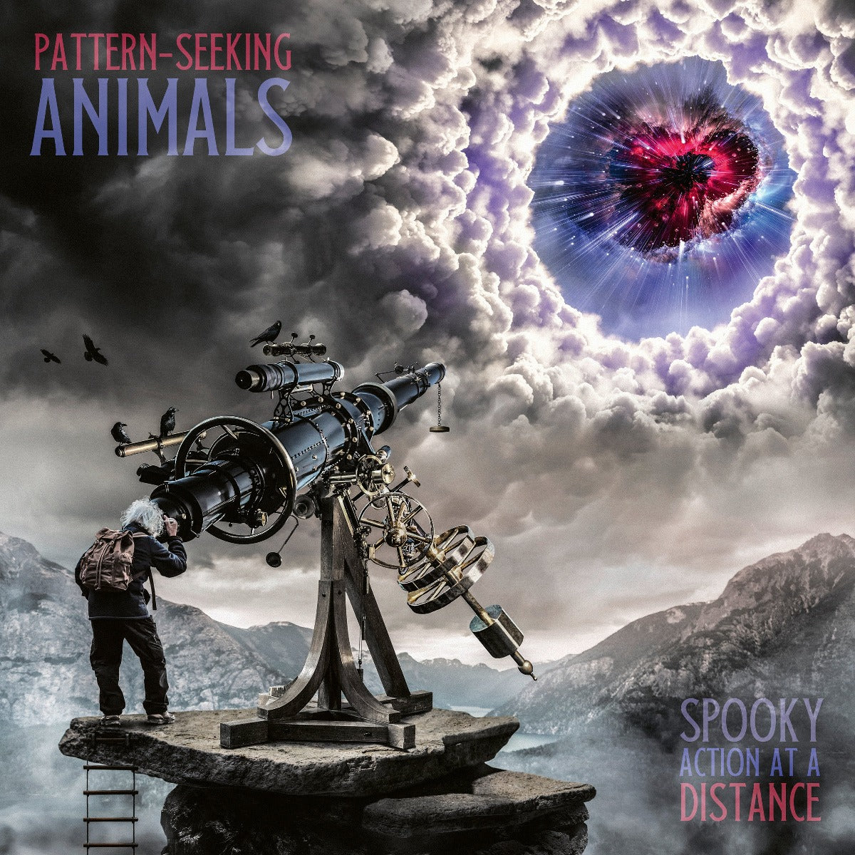 PATTERN-SEEKING ANIMALS - Spooky Action at a Distance