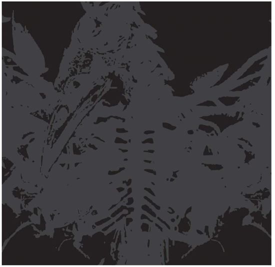 AMENRA - Mass II (Ash Grey Vinyl)