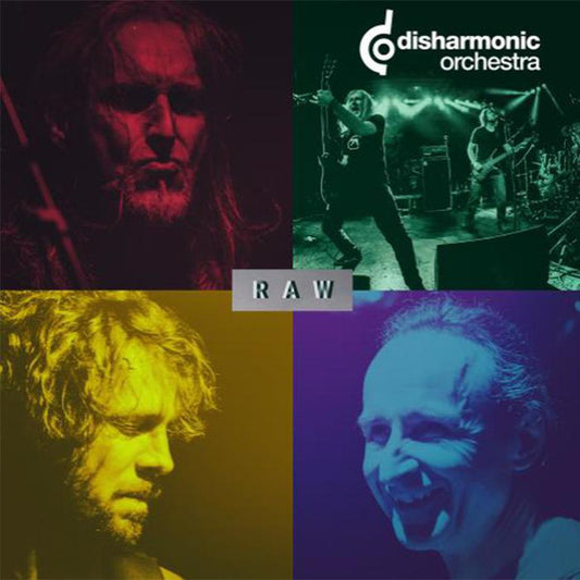 DISHARMONIC ORCHESTRA - Raw