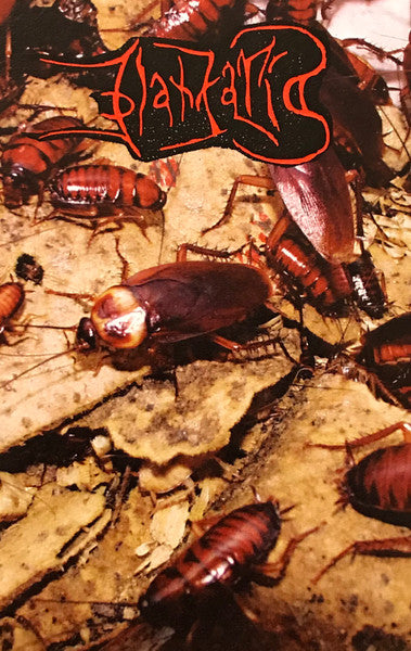 BLATTARIA - Blattaria (MC)