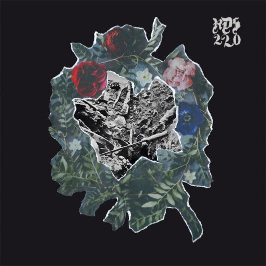 RDS220 - Hell Is Truth Seen Too Late (Black Vinyl)