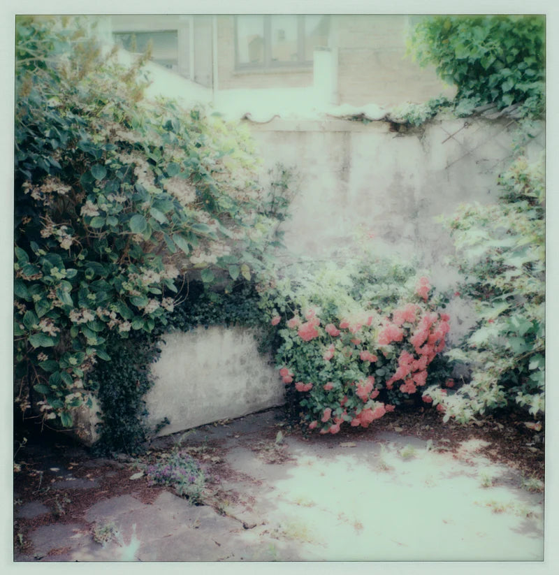 BLOED - Tranen (Green Crystal With Multicolor Splatter Vinyl)