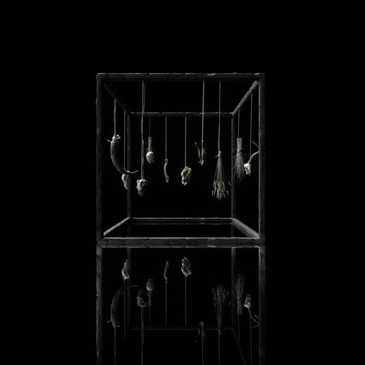 TREHA SEKTORI - Rejet (Black Vinyl)
