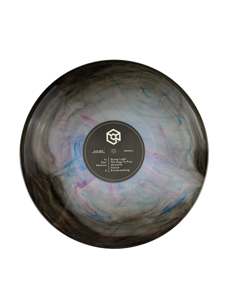 WE.OWN.THE.SKY - In Your Absence (Fading Light Edition Vinyl)