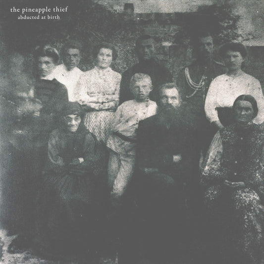 THE PINEAPPLE THIEF - Abducted At Birth
