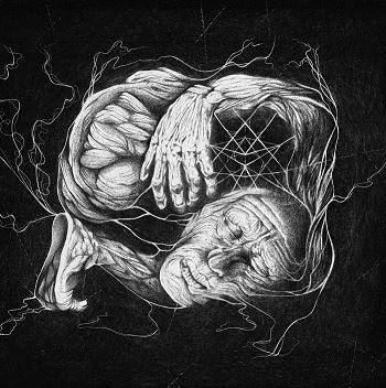 VERBERIS - Vorant Gnosis