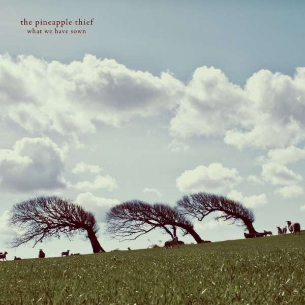 THE PINEAPPLE THIEF - What We Have Sown (Black Vinyl)
