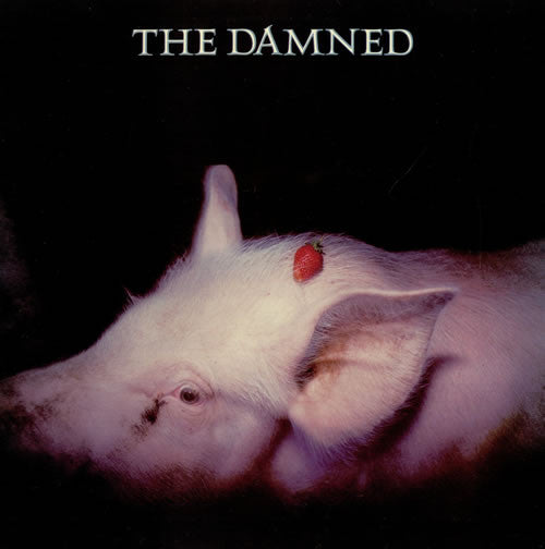 THE DAMNED - Strawberries