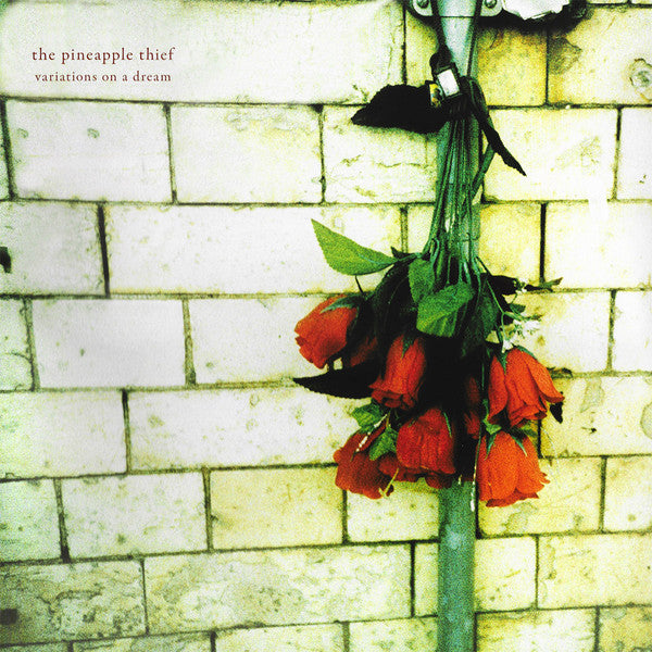 THE PINEAPPLE THIEF - Variations On A Dream
