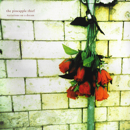 THE PINEAPPLE THIEF - Variations On A Dream