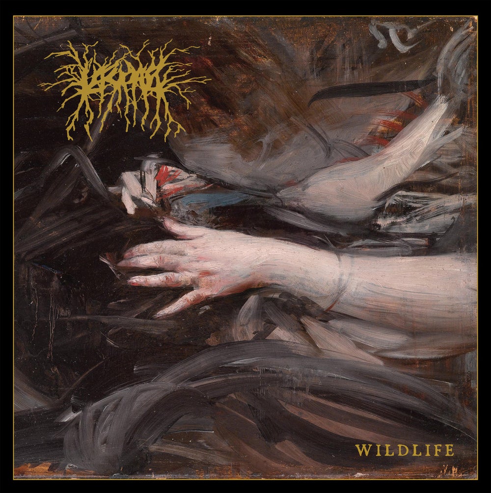 LASCAR - Wildlife