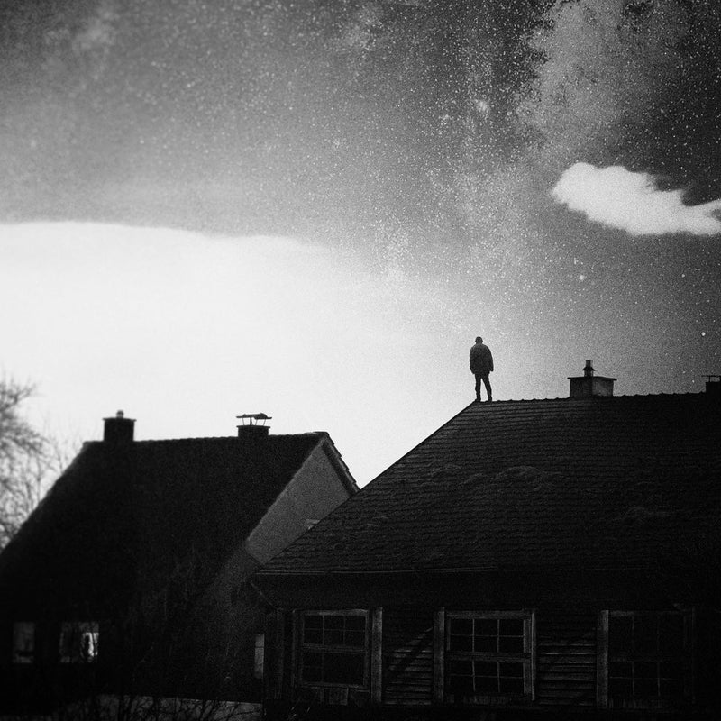 WE.OWN.THE.SKY - In Your Absence (Fading Light Edition Vinyl)