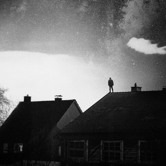 WE.OWN.THE.SKY - In Your Absence (Fading Light Edition Vinyl)