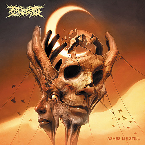 INGESTED - Ashes Lie Still (Violet Purple Marbled Vinyl)
