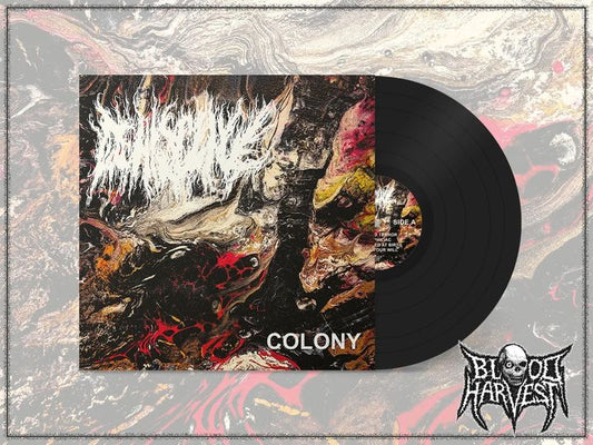 DEHISCENCE - Colony
