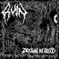RUIN - Drown In Blood